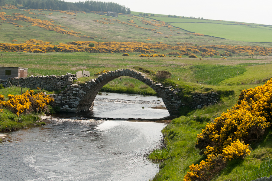 Old Bridge of Forss